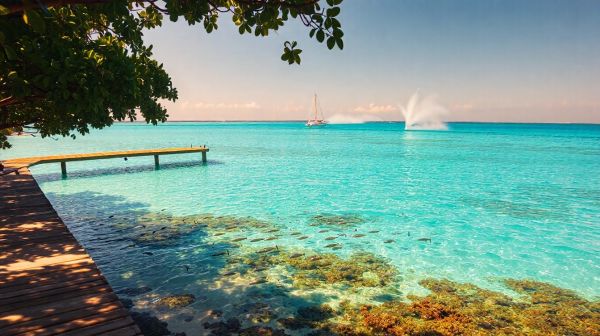 Top 10 des destinations pour explorer les merveilles aquatiques